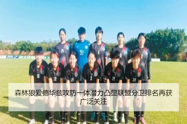 森林狼爱德华兹攻防一体潜力凸显联盟分卫排名再获广泛关注